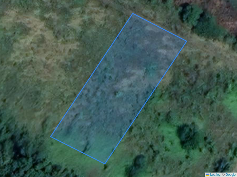 Property ID: 11