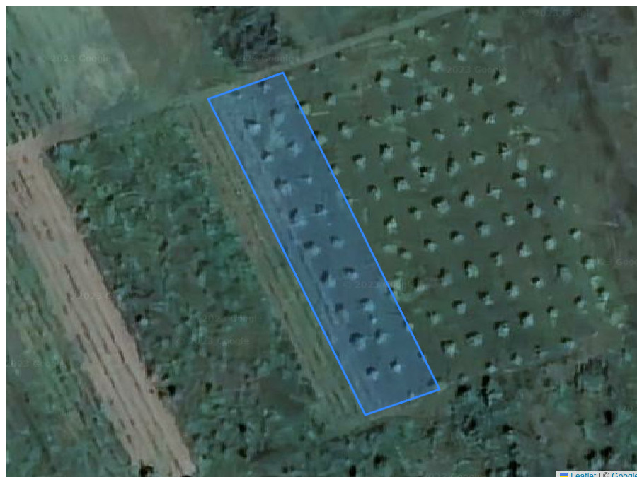 Property ID: 31