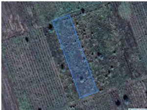 Teren agricol 2351 m², Cupcui, r-ul Leova, ID: 41